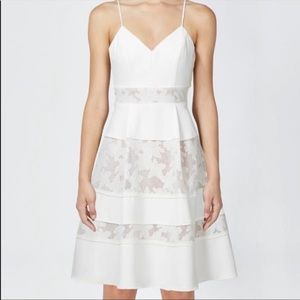 Adeline Rae Elyse Fit and Flare Dress